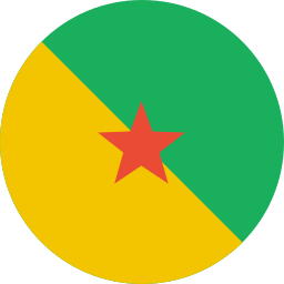 Flag icon