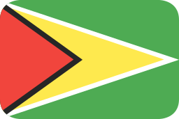 Flag icon