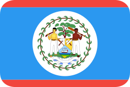 bandera icono