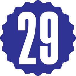 Twenty nine icon