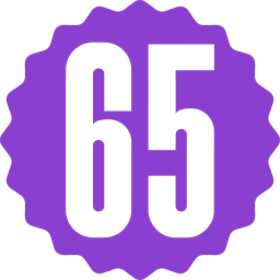 Sixty five icon