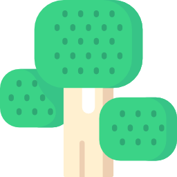 브로콜리 icon