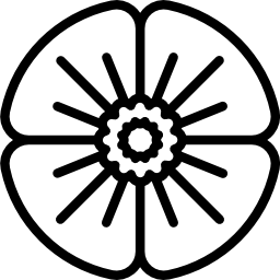 양귀비 icon