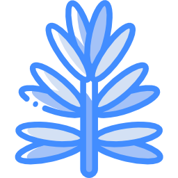 로즈마리 icon
