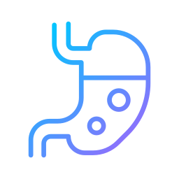 Stomach icon