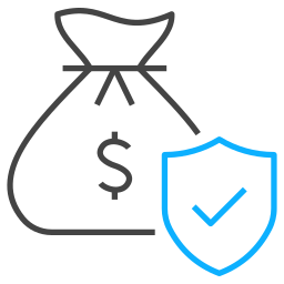 Money protection icon