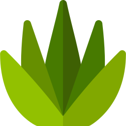 Aloe icon