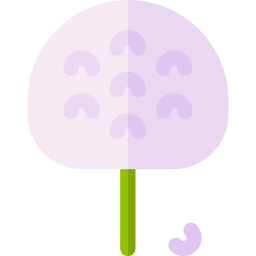 Allium icon