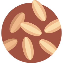 Cumin icon