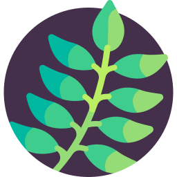 카레나무 icon