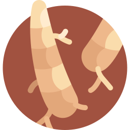 화살뿌리 icon