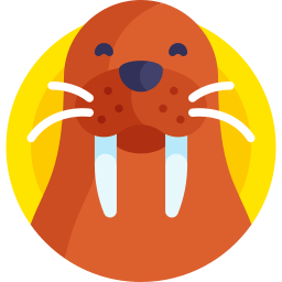 Walrus icon