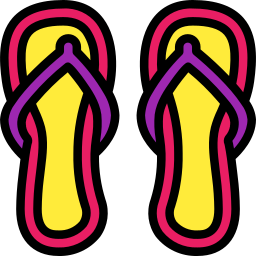 Flip flops icon