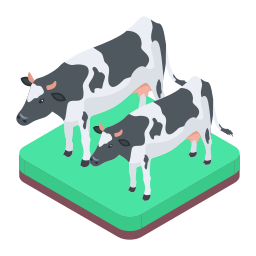 Dairy cattle icon