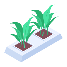 plantas icono