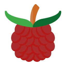 Raspberry icon