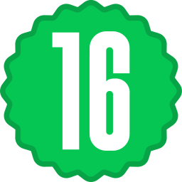 16 icon