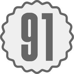 91 icono