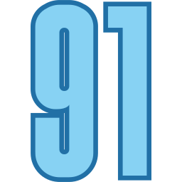 91 icona