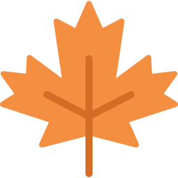 Autumn leaf icon