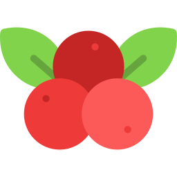 Berries icon