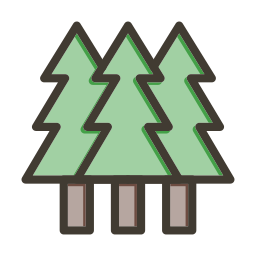 Pine tree icon