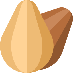 Almonds icon