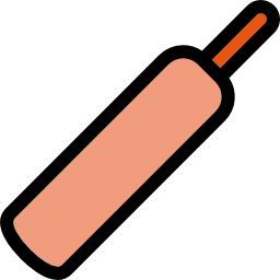 Cricket bat icon