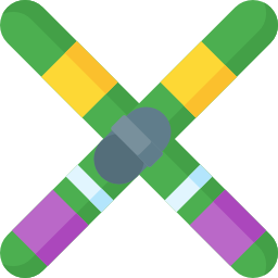 Skis icon