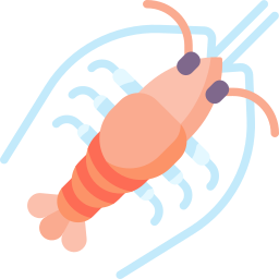 Cleaner shrimp icon