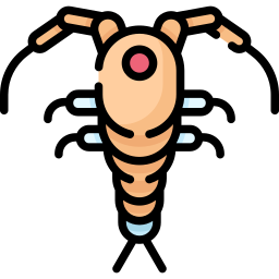 サイクロプス icon