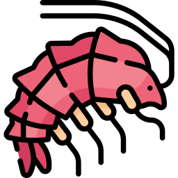 Amphipod icon