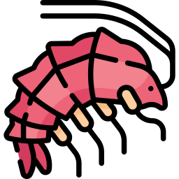 flohkrebs icon
