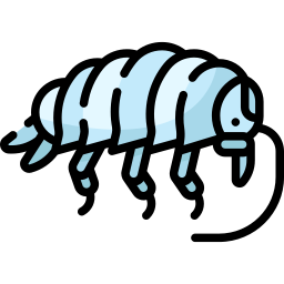 Isopoda icon
