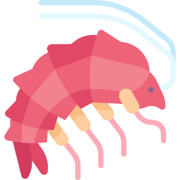 Amphipod icon