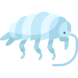 isopoda icon