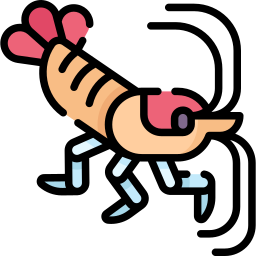crevettes plus propres Icône