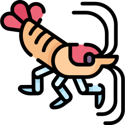 Cleaner shrimp icon