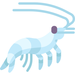 krill icoon