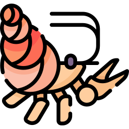 caranguejo eremita Ícone