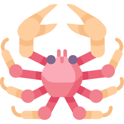 cangrejo araña icono