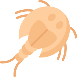camarones renacuajo icono