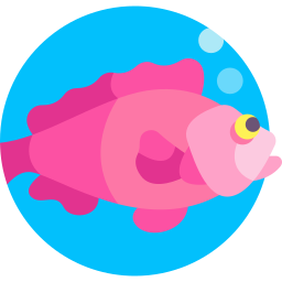 czerwona ryba ikona