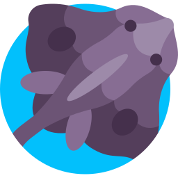 Skate fish icon