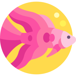 Сиамская бойцовая рыбка иконка