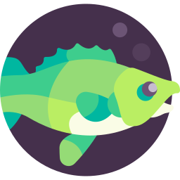 snoekbaarzen vis icoon