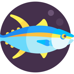Yellowfin tuna icon