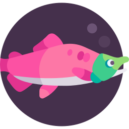 紅鮭 icon