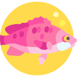 snapper icoon
