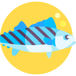 peixe bonito Ícone